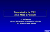 DU IST 2006 S Matheron Transmission du VIH de la Mère à lEnfant Pr S Matheron Service des maladies infectieuses et tropicales CHU Bichat - Claude Bernard.