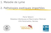 1. Maladie de Lyme 2. Pathologies exotiques importées Pierre Tattevin Maladies Infectieuses et Réanimation Médicale CHU Pontchaillou, Rennes.