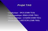 Projet TAG Projet TAG Géophysique – IPGS (UMR 7516) Calcul numérique -IRMA (UMR 7501) Chimie théorique - LCQMM (UMR 7551) Informatique - LSIIT/ICPS (UMR.