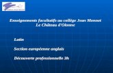 Enseignements facultatifs au collège Jean Monnet Le Château d'Olonne Latin Section européenne anglais Découverte professionnelle 3h.