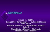 1 Génétique Cours 1 DCEM1 Brigitte Benzacken ; Cytogénétique GHU Nord Marion Gérard ; Génétique Robert Debré Bénédicte Gérard; Biologie Moléculaire RDebré
