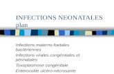INFECTIONS NEONATALES plan Infections materno-foetales bactériennes Infections virales congénitales et périnatales Toxoplasmose congénitale Entérocolite.