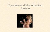 ANPAA 2008 C.Yvenou1 Syndrome dalcoolisation foetale.