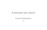 Extension du cancer Ecole d'Infirmières 3. Extension du cancer Mobilité, Detachement Secretion denzymes, destruction du tissu conjonctif Migration jusquau.