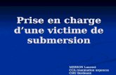 Prise en charge dune victime de submersion MERSON Laurent CCA réanimation urgences CHU Bordeaux.