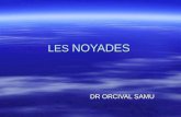 LES NOYADES DR ORCIVAL SAMU. LES NOYADES EPIDEMIOLOGIE Les résultats de la surveillance épidémiologique des noyades annuelles sont en 2004 pour la période.