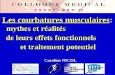 Les courbatures musculaires: Caroline NICOL mythes et réalités de leurs effets fonctionnels et traitement potentiel.