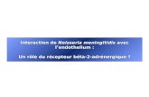 Interaction de Neisseria meningitidis avec lendothelium : Un rôle du récepteur béta-2-adrénergique ?