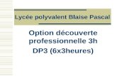 Lycée polyvalent Blaise Pascal Option découverte professionnelle 3h DP3 (6x3heures)