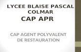 CAP APR CAP AGENT POLYVALENT DE RESTAURATION LYCEE BLAISE PASCAL COLMAR.