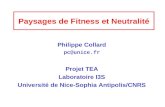1 Paysages de Fitness et Neutralité Philippe Collard pc@unice.fr Projet TEA Laboratoire I3S Université de Nice-Sophia Antipolis/CNRS.