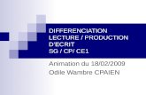 DIFFERENCIATION LECTURE / PRODUCTION DECRIT SG / CP/ CE1 Animation du 18/02/2009 Odile Wambre CPAIEN.