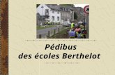 Pédibus des écoles Berthelot. L histoire du projet En 2003/2004 Présentation d'un projet de travail sur un plan de déplacement domicile école aux conseils.