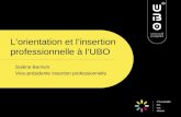 Lorientation et linsertion professionnelle à lUBO Solène Berrivin Vice-présidente Insertion professionnelle.