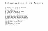 Introduction à MS Access 1. Ouvrir une base de données 2. Les objets de la base 3. Les groupes 4. Créer une nouvelle base 5. Feuille de données 6. Saisir.
