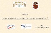 IBS (CEA-CNRS-UJF) HPBP, un marqueur potentiel du risque vasculaire ?