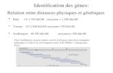 Relation entre distances physiques et génétiques Mais 14-1,750 kb/cMmoyenne = 1,500 kb/cM Tomate 43-3,300 kb/cMmoyenne= 550 kb/cM Arabidopsis 40-550 kb/cMmoyenne=