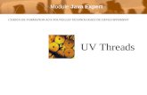 CURSUS DE FORMATION AUX NOUVELLES TECHNOLOGIES DE DEVELOPPEMENT UV Threads Module Java Expert.