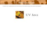 CURSUS DE FORMATION AUX NOUVELLES TECHNOLOGIES DE DEVELOPPEMENT UV Java Module Java Expert.