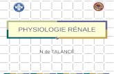 PHYSIOLOGIE RÉNALE N de TALANCÉ. PHYSIOLOGIE RÉNALE 1- Relations structures et fonctions: Structure:organes rétropéritonéaux et paravertébraux 150 g Longueur:11-12.
