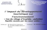 Master : Techniques de Muséologie Gestion du Patrimoine Naturel et Culturel et Développement Touristique Professeur : Thème : 2009/2010 l impact du développement.