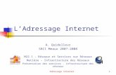 Adressage Internet1 LAdressage Internet A. Quidelleur SRC1 Meaux 2007-2008 M22.1 - Réseaux et Services sur Réseaux Matière – Infrastructure des Réseaux.