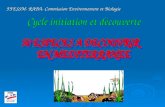 FFESSM- RABA- Commission Environnement et Biologie.