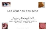 Www.gustavedabresil.vpweb.fr Les organes des sens Gustave Dabresil, MD ORL-CCMF, Imagerie Diagnostique Radiothérapie et Oncologie Médicale 3371-1392
