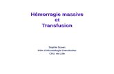 Hémorragie massive et Transfusion Sophie Susen Pôle dHématologie-Transfusion CHU de Lille.