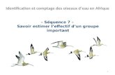 – Séquence 7 – Savoir estimer leffectif dun groupe important Identification et comptage des oiseaux deau en Afrique 1.