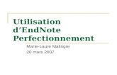 Utilisation dEndNote Perfectionnement Marie-Laure Malingre 20 mars 2007.