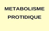 METABOLISMEPROTIDIQUE. Protéines = macromolécules constituées de lenchaînement dacides -aminés Les acides aminés qui sont lunité structurale des protéines.