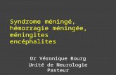 Syndrome méningé, hémorragie méningée, méningites encéphalites Dr Véronique Bourg Unité de Neurologie Pasteur.