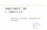 ANATOMIE DE LOREILLE Oreille externe, moyenne et interne R. Hibon Service ORL CCF CHU Caen.