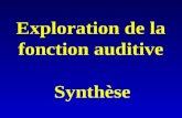 Exploration de la fonction auditive Synthèse. Surdités de Transmission.