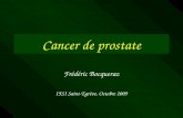 Cancer de prostate Frédéric Bocqueraz IFSI Saint-Egrève, Octobre 2009.