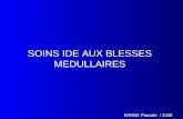 SOINS IDE AUX BLESSES MEDULLAIRES BARBE Pascale / 2008.