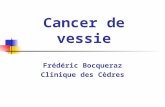 Cancer de vessie Frédéric Bocqueraz Clinique des Cèdres.