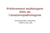 Prélèvement multiorgane Rôle de lanatomopathologiste Emmanuelle Leteurtre, CHR-U de Lille.
