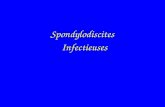 Spondylodiscites Infectieuses. Spondylodiscite Définition Infection du rachis Atteinte du disque intervertébral et des plateaux vertébraux adjacentes.