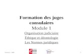 Version 2 – 2008 1 Formation des juges consulaires Module 1 Organisation judiciaire Éthique et déontologie Les Normes juridiques.
