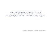 TECHNIQUES SPECIALES EN ANATOMIE PATHOLOGIQUE ED n°2, DCEM1 Purpan, 2011-2012.