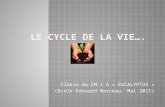 Classe du CM 1 A « EUCALYPTUS » (Ecole Edouard Marceau, Mai 2011)