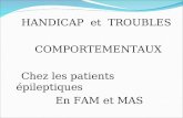 HANDICAP et TROUBLES COMPORTEMENTAUX Chez les patients épileptiques En FAM et MAS.