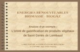 ENERGIES RENOUVELABLES BIOMASSE - BIOGAZ --- Analyse dun exemple : LUnité de gazéification de produits végétaux de Saint Genès de Lombaud --- LABEL NATURE.