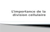 Tous les cellules vient des autres cellules par la division cellulaire alors la division cellulaire est comment la vie est continu.