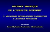 INTERET PRATIQUE DE LEPREUVE DEFFORT I - MECANISMES PHYSIOLOGIQUES DADAPTATION A LEXERCICE MUSCULAIRE A.W. KEDRA Service dExplorations Fonctionnelles -