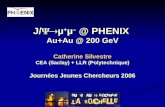 J/ µ + µ – @ PHENIX Au+Au @ 200 GeV Catherine Silvestre CEA (Saclay) + LLR (Polytechnique) Journées Jeunes Chercheurs 2006.