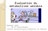 Évaluation du métabolisme aérobie Raphaël LECA UE 57 Physiologie Centre Universitaire Condorcet Le Creusot .
