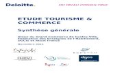 ETUDE TOURISME & COMMERCE Synthèse générale Union du Grand Commerce de Centre-Ville, Fédération des Enseignes de lHabillement, DGCIS et Atout France Novembre.